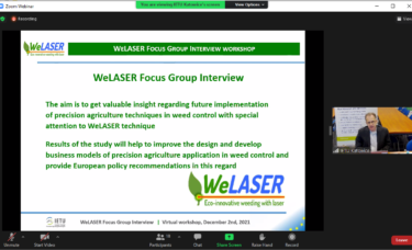 Focused Group Interviews (on-line), WeLASER Project - 2/12/2021